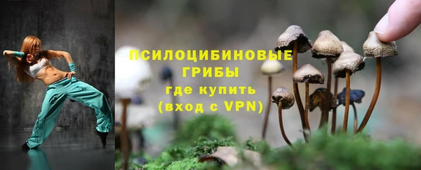 гидра Балабаново