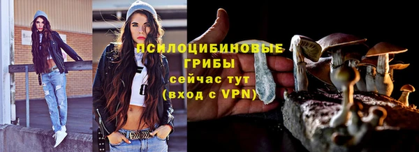 молекула духа Баксан