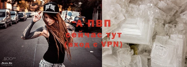 трава Беломорск