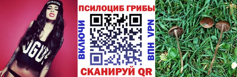 Галлюциногенные грибы Cubensis  Пятигорск 